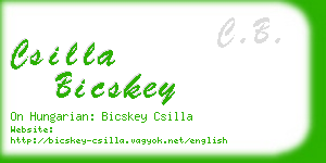 csilla bicskey business card